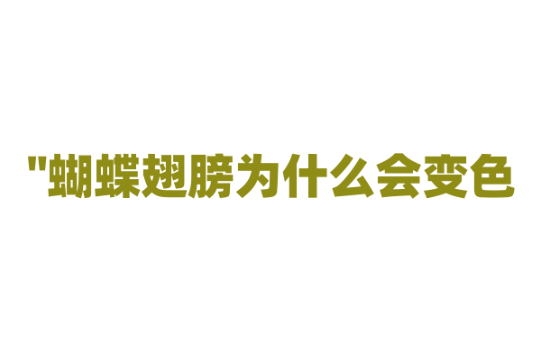 "蝴蝶翅膀为什么会变色？"